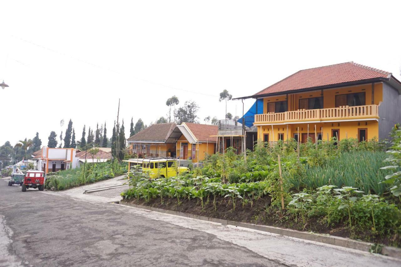 Homestay Lereng Бромо Екстер'єр фото